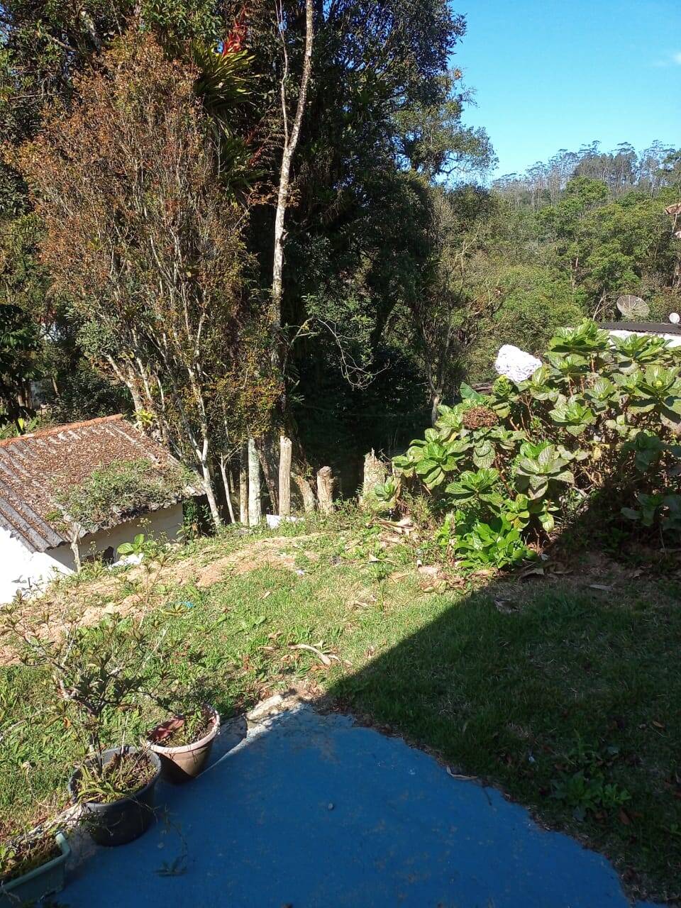 Fazenda à venda com 3 quartos, 1800m² - Foto 12